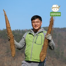 산마씨