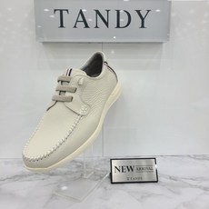 tandy322019