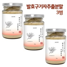 유산균발효구기자