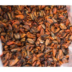 남해안 상급 건홍합 마른 홍합살 400g 지퍼백포장, 1개