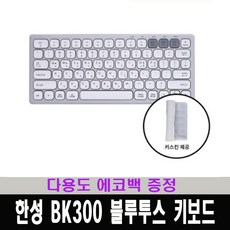 한성bk300