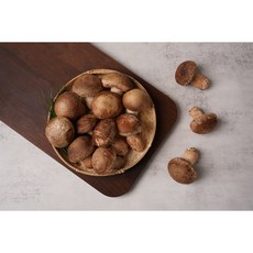 솔송화버섯 선물세트 800g 번덕뜰 설 선물 명절 선물 솔송버섯 송고버섯송향버섯, 기본형 800g, 1개