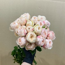 775a60d49493444db891f4974d68fe0802b7f0281ac91a54880a0598a3d6.jpg