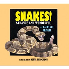 (영문도서) Snakes!: Strange and Wonderful Paperback, Boyds Mills Press, English, 9781590787441