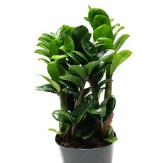 a46e584b72f96bb7612690b6f9da6a7d7a6c3d22f518362ee72014c0c506.jpg