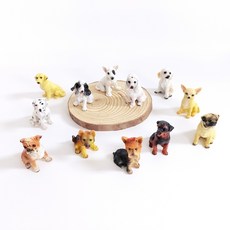 강아지미니어쳐