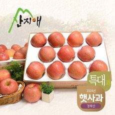 [2024햇사과] 산지애 알뜰 못난이사과(대과) 4kg 2box