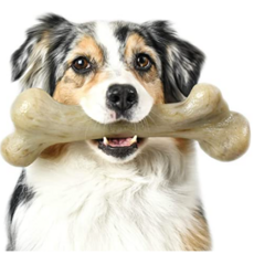 5ddb3253c3b78b7f3f3df04c98f624dd96148c7f0ab9670bd944cf404a91.png