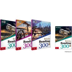 브릭스리딩300