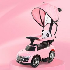 아우디푸쉬카캐노피