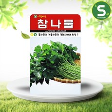 솔림텃밭몰 참나물씨앗 1000립 참나물 산채나물 재래종 아람씨앗, 1개