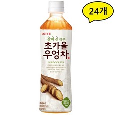 롯데칠성음료 초가을우엉차 500ml x 24개, 500ml x 24pet