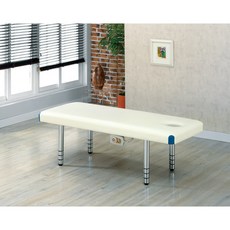 피부물리치료중재학