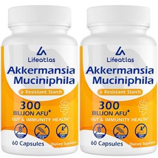 3000억 AFU Akkermansia Muciniphila - 여성 및 남성용 라이브 Akkermansia 프로바이오틱스 GLP-1 소화 장 면역 및 전반적인 건강 장, 60 Count (Pack of 2)