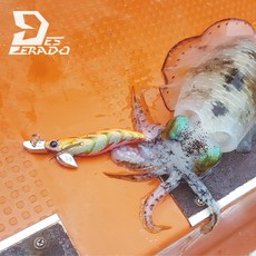 e8ed56dd746ddb8144bfedc895d1fbe68ba50e6f5c36c720ae5e146c54f2.jpg