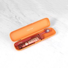 뷰센여행용양치키트