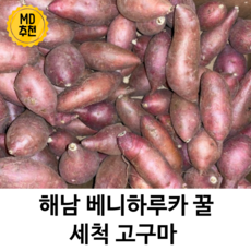 [농장직송] 해남 꿀 고구마 베니하루카 황금 중사이즈 호박고구마, 세척 고구마 5kg (중간크기), 1박스