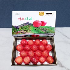 영주사과