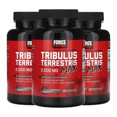 포스팩터 펀더멘탈 트리블러스 테러스트리스 맥스 2 000mg 베지 캡슐 120 정(캡슐 1정당 500mg), 3개, 120캡슐, 120정