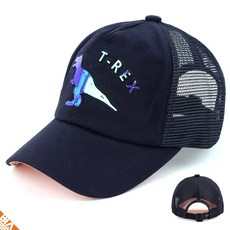 6799c543495f0f9cfd8aad3647330ff1061663e79a53f8d9264c1296ad35.jpg