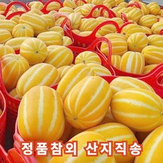 성주 참외 정품 꿀 고당도 참외 3kg 5kg 10kg, 1개, 참외 정품3kg(9~12개)