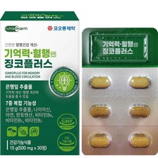 코오롱제약 기억력혈행엔 징코플러스, 30정, 60개