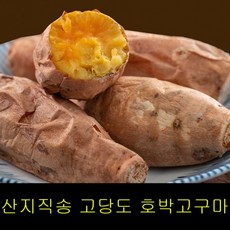 밤호박건조