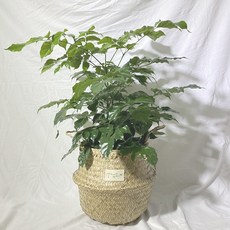 ef143a750c491cfa41664f22034f7de2a676e61633a25b2d00a3dad48c6a.jpg