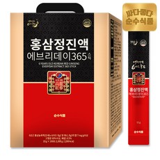  순수식품 홍삼정진액 에브리데이 365 스틱, 10g, 100개 