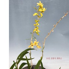 월정 210330-01