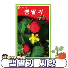 뱀딸기 씨앗 - 10000립 / 딸기씨앗 딸기 산딸기 모종 키우기 쉬운 / DW1, 1개