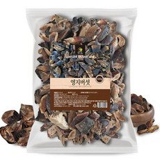 국내산 영지버섯 파쇄 500g, 1개