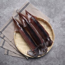 [개별진공포장] 선상냉동 국산 초코오징어 (마리당 250g 내외), 10마리
