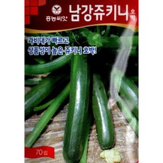 (씨앗) 남강쥬키니호박 - 쥬키니 씨앗 종자 - 70립, 1개