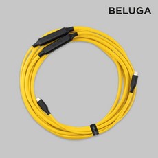벨루가케이블