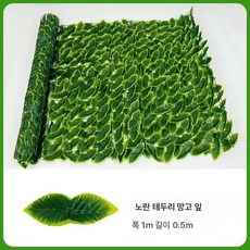 울타리나무 TOP01