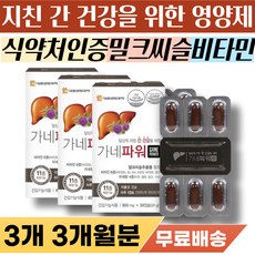 알콜성 간기능 보호제 추천 중년 남성 간 건강 영양제 음주 술 연말 회식 모임 간보호 간수치 회복 개선제 회복제 밀크씨슬 밀크시스 알콜 분해 속쓰림 속쓰릴때 만성 피로감 무기력증