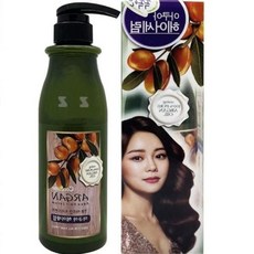 과일나라 헤어 트리트먼트 헤어 린스 아르간 500ml, 아쿠아헤어세럼