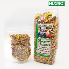 썬양의자연주의