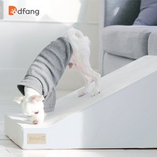 티엔즈팡