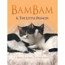 Bambam & the Little Princes: A Mostly True Story Paperback, Archway Publishing, English, 9781480891111