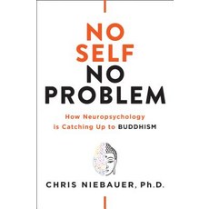No Self No Problem: How Neuropsychology Is Catching Up to Buddhism Paperback, Hierophant Publishing