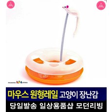 스프링 쥐돌이 흥미 자극 고양이 장난감 리빙소품 반려동물용품점 생활용품