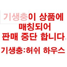 동물의숲스피카