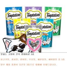 템테이션캐나다