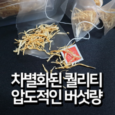 국내산 무농약 황금 갈색팽이버섯 차 30개(버섯 티백 가루), 갈색(황금)팽이티백