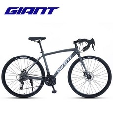 MTB 자전거 로드 사이클 픽시 출퇴근 입문용 트랙 Giant Escape 2 레저 피트니스 플랫 핸들 바