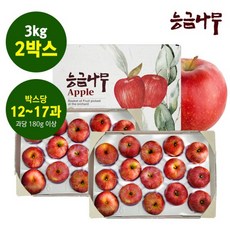 [능금나무]미시마 못난이사과 3kg*2박스(총6kg)(박스당 12~17과), 단품