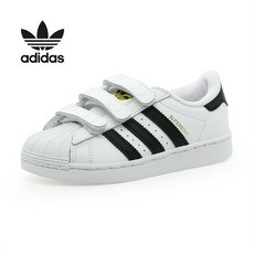 광교갤러리아백화점아쿠아리움