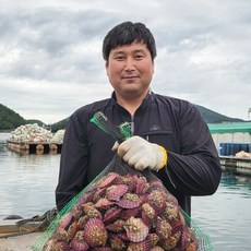 통영빛굴 생산자판매 통영산 산지직송 선별 세척 홍가리비, 1개, 홍가리비 5kg (160미내외)